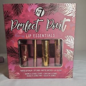 Perfect Pout Lip Essentials Set - Pink and Gold